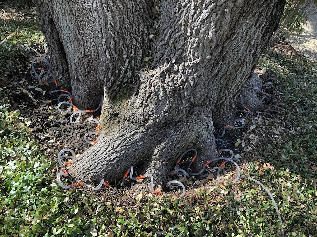 Detailed Shrub and Hedge Trimming job site in Post