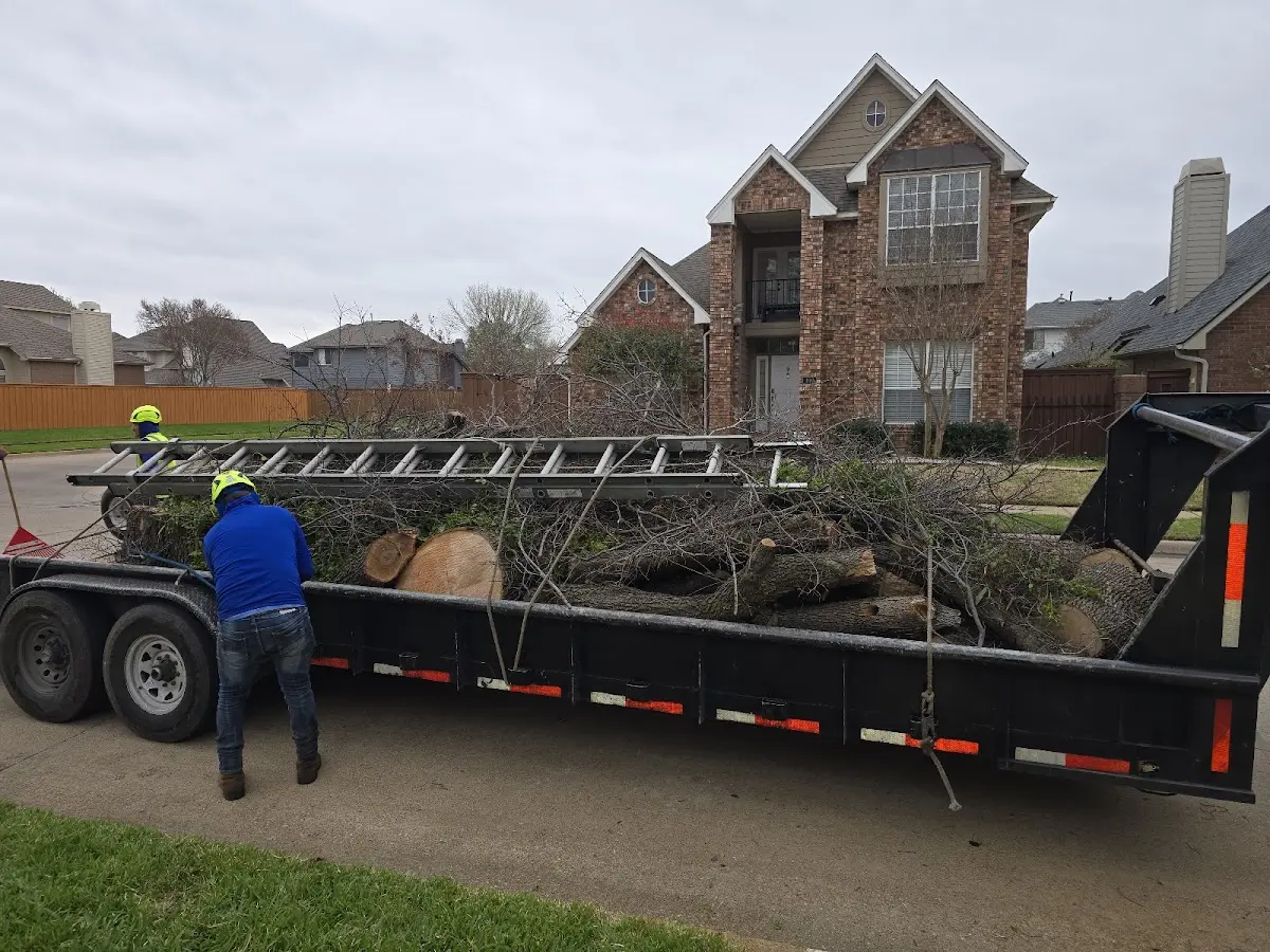 Expert Lot Clearing with proper safety equipment in Post